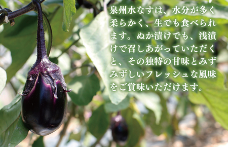 水なすの青果と白ぬか漬け4個セット