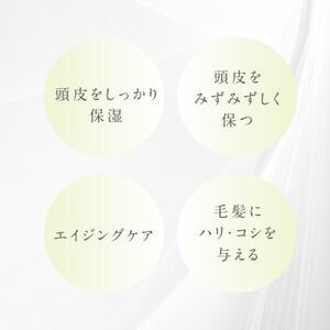 プテロ　ARシャンプー 300ml_美容 シャンプー・リンス  _【1516148】