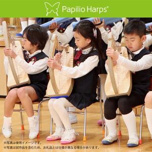 【楽器】幼児教育用ケルティックハープ 15弦・eハープスタート タイプC(ブルー/グリーン)　1台_雑貨   _【1511310】