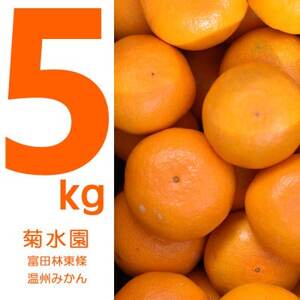 温州みかん 富田林市東條産5kg 【菊水園】 甘い美味しい みずみずしいと人気の柑橘です。【1669825】