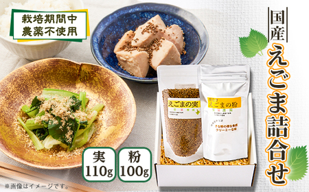 ≪2種:実・粉≫　国産えごま詰合せセット　大阪産【1696386】