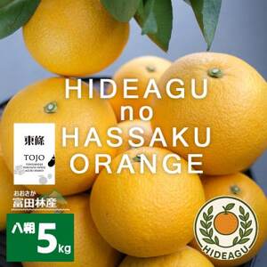 はっさく　大阪富田林市東條産5kg【ヒデアグ】東向き斜面で育てた、みずみずしく美味しい自然派八朔【1706516】 6,300円