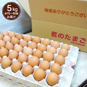 【5kg】匠のたまご(約75～85個)辰巳悦司養鶏場　G20大阪サミット朝食に使用された卵【1292610】