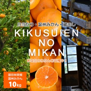 温州みかん 富田林市東條産10kg 【菊水園】 甘い美味しい みずみずしいと人気の柑橘です。_果物・フルーツ みかん  ミカン 蜜柑_【1284423】 7,200円