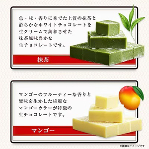 【プロ仕様】生チョコレート詰め合わせ(スイート　ミルク　イチゴ　抹茶　マンゴー)　5種類×1袋【配送不可地域：離島】【1371394】