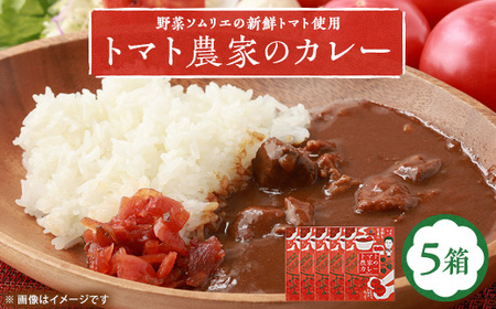【大阪産】トマト農家のカレー5箱　簡単便利でとってもおいしいあると便利な一品/保存食にも便利_惣菜・加工品 カレー  _【1316537】
