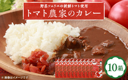 【大阪産】トマト農家のカレー10箱　簡単便利でとってもおいしいあると便利な一品/保存食にも便利_惣菜・加工品 カレー  _【1316538】