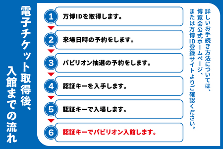 [期間限定受付]【早割】 大阪関西万博一日券 大人(満18歳以上の方の入場チケット)会期中いつでも1回入場可能。｜早割大人一日券 万博 チケット EXPO 2025 [0869]