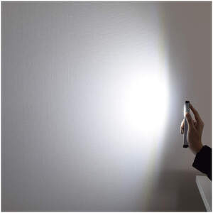 電池式 2WAY ペンライト(SL-4PEN) [0900]