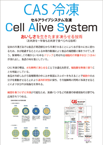 近江牛A4A5ランク スネ肉 500g ハラルビーフ｜近江牛 ビーフ A4A5 ランク すね肉 [1170]