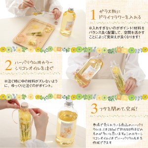 ハーバリウム用カラーシリコンオイル全色Nizi7色セット＋スターターキット｜ドライフラワー ガラス瓶 インテリア 趣味 DIY 自主制作 自由研究 アート デザイン [0545]