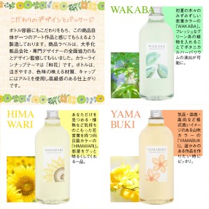 ハーバリウム用カラーシリコンオイル全色Nizi7色セット＋スターターキット｜ドライフラワー ガラス瓶 インテリア 趣味 DIY 自主制作 自由研究 アート デザイン [0545]