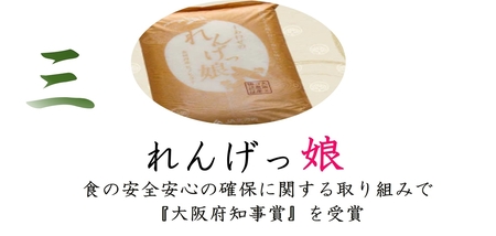 しあわせのれんげっ娘10kg (精米)｜ヒノヒカリ 米 コメ こめ お米 おこめ おコメ [0487]