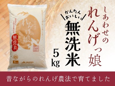 しあわせのれんげっ娘5kg (無洗米)｜ヒノヒカリ 米 コメ こめ お米 おこめ おコメ [0490]