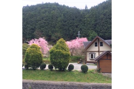 カフェ＆旬菜レストラン歩絵夢のペアランチ｜こだわりの逸品 地域特産品 ギフト 自分用 人気 おすすめ