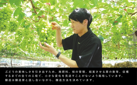 すばるのワイン2016(720ml) 中村オリジナルぶどう園のオリジナル品種使用 やや甘口 レア 希少 お酒 酒 父の日 プレゼント ギフト 贈り物 お中元 お歳暮 夏ギフト お土産 手土産