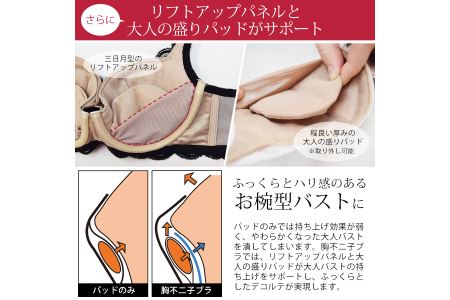 胸不二子ブラ ｆ65サイズ 大阪府河内長野市 ふるさと納税サイト ふるなび