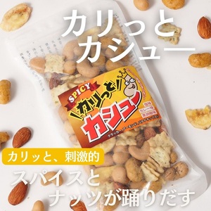 豆の蔵元　「カリっとカシュ―」120g×12パック　お豆 豆 豆菓子 おつまみ カシューナッツ ミックス
