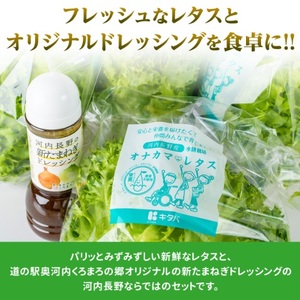 とれたてレタスと玉ねぎドレッシングセット　サラダ 副菜 常備野菜 炒め物 スープ チャーハン 鍋料理 巻物 冷製料理 朝食 昼食 夕食 付け合わせ サンドイッチ ハンバーガー お弁当 ダイエット｜こだわりの逸品 地域特産品 ギフト 自分用 人気 おすすめ