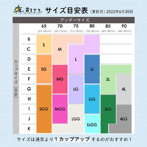【サイズL】ナイトブラ 夜寄るブラ コットン|育乳ブラ ブラジャー 補正下着 脇肉 ノンワイヤーブラ ノンワイヤー バストアップ 綿 脇高ブラ 下着 ブラ 大きいサイズ 育乳 ワイヤーなし 夜ブラ 夜用ブラ ナイトブラジャー 補整 補正 ヘブンジャパン HEAVEN Japan