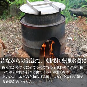 【2026年4月以降順次発送】国産 たけのこ 水煮 根本部分 900g 朝採れを即加工 タケノコ 竹の子 筍 小分け 長期保存 真空パック たけのこご飯 煮物に　