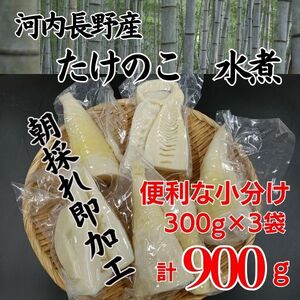 【2026年4月以降順次発送】国産 たけのこ 水煮 900g 朝採れを即加工 タケノコ 竹の子 筍 小分け 長期保存 真空パック たけのこご飯 煮物に こだわりの逸品 地域特産品 ギフト 自分用 人気 おすすめ