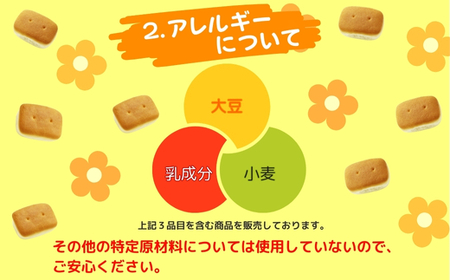 パクパクミニ 大容量！ 75ｇ×16袋  お菓子 駄菓子 子ども キッズ お年寄り おやつ こだわり 安心 