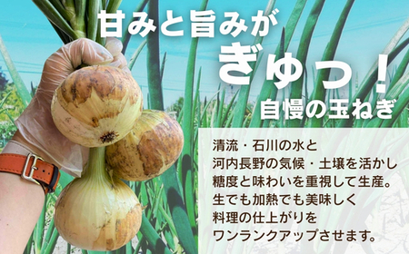 【令和8年度産新玉ねぎ先行予約】新玉ねぎ 2kg×2箱  ※4-5月発送予定