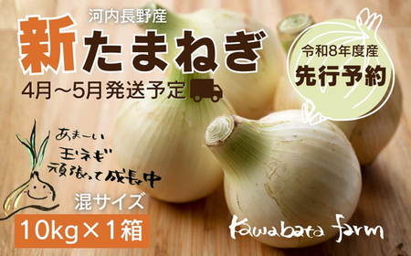 新玉ねぎ 10kg×1箱  ※4-5月発送予定