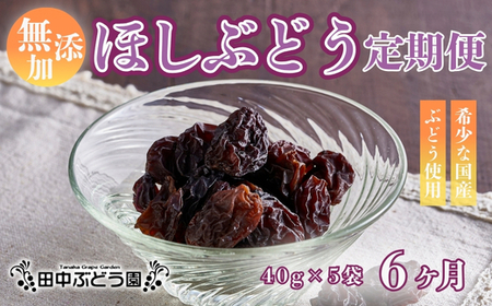 【定期便　毎月お届け6ヵ月】ほしぶどう 40g×5袋 国産 ドライフルーツ 無添加 複数品種 希少 レア 小分け 干し葡萄 干しぶどう 干しブドウ 無添加 保存食 備蓄食 常備食 食物繊維 鉄分 無添加 複数品種 希少 レア 小分け干し葡萄 ほしぶどう 無添加 防災食品 保存食 備蓄食 常備食 食物繊維 鉄分 ポリフェノール レーズン 製菓 製パン グラノーラ おやつ おつまみ 送料無料
