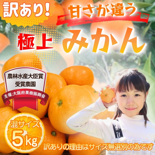 先行予約 2026年11月下旬より発送 【 訳あり 】 甘さが違う極上みかん 5kg