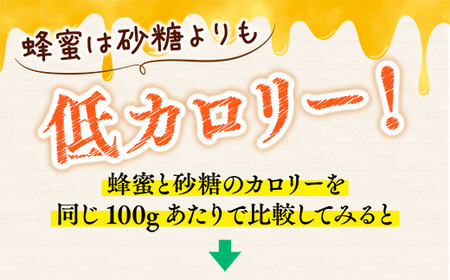 2025年6月中旬以降順次発送です】岩湧ハニー(百花、純粋はちみつ) 500ｇ×1本 | 大阪府河内長野市 | ふるさと納税サイト「ふるなび」