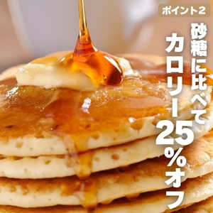 ふるさと納税 岩湧ハニー(百花、純粋はちみつ) 500g 大阪府河内