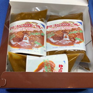 極旨！牛ヒレ肉ゴロゴロ柔らかビーフカレー（250g）5個セット