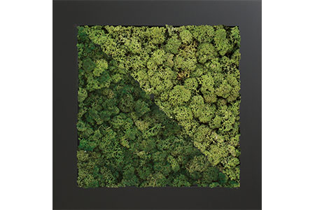 スカンディアモスフレームL（SMF-888-201）