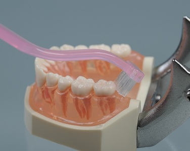 奥歯掃除用歯ブラシ×4本セット　バックフィット　クリアデント　虫歯　オーラルケア　送料無料