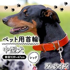 【 ペット 用 】 首輪 中型犬 XLサイズ レッド 39-47cm ペット