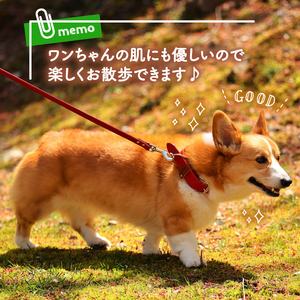 【 ペット用 】 首輪 大型犬 レッド 44-52cm ペット