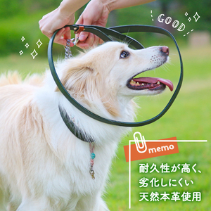 【 ペット 用 】 首輪 ハーフチェーン 中型犬 レッド 39-45cm ペット 犬