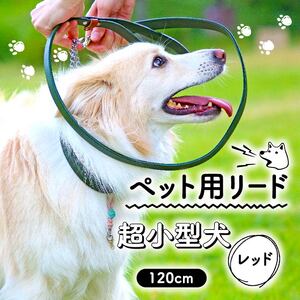 首輪 超小型犬 おしゃれ ストア 革