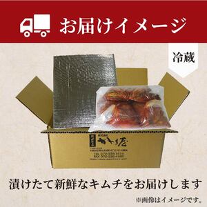 【 旨辛 】 中辛 白菜キムチ 1kg+ チャンジャ 300g 計1.3kg 小分け