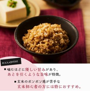 玄米ごはんパック 160g 18個 玄米 米 ごはん ご飯 こめ パックライス パックご飯 パックごはん ご飯パック ごはんパック パック ライス 玄米パック 備蓄 保存 非常 玄米パック温めるだけ 簡単玄米パック 