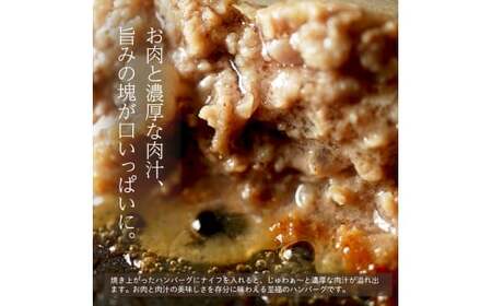 イベリコ豚 黒毛和牛 合いびきハンバーグ 150g×5個 国産 牛肉 冷凍 手作り 手ごね 和牛 簡単調理 おかず 惣菜 晩ごはん 選べる 贅沢 ギフト 贈答 合挽きハンバーグ あいびきハンバーグ 合い挽きハンバーグ 合いびきハンバーグ