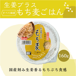 生姜プラスもち麦ごはん 160g×24個 お米 レトルト 食品 無添加 国産 レンジで簡単 もち麦ごはんもち麦ごはんもち麦ごはんもち麦ごはん