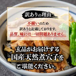 【 訳あり 】国産 肉厚 煮穴子 300g 冷凍 あなご
