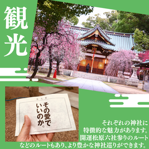 【 栄養満点 】玄米パック 160g × 24個 12個 × 2ケース