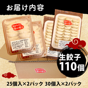 やさしい生餃子 110個 にんにく 不使用 ヘルシー 冷凍 餃子餃子餃子餃子餃子餃子