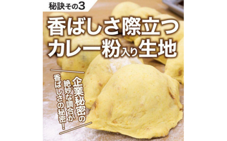 【 グランプリ受賞 】カレーパン 10個セット