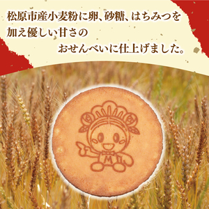 【 優しい味わい 】たまご せんべい 10枚 個包装 せんべい