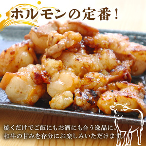 【国産】 小腸 ホルモン 200g×5パック